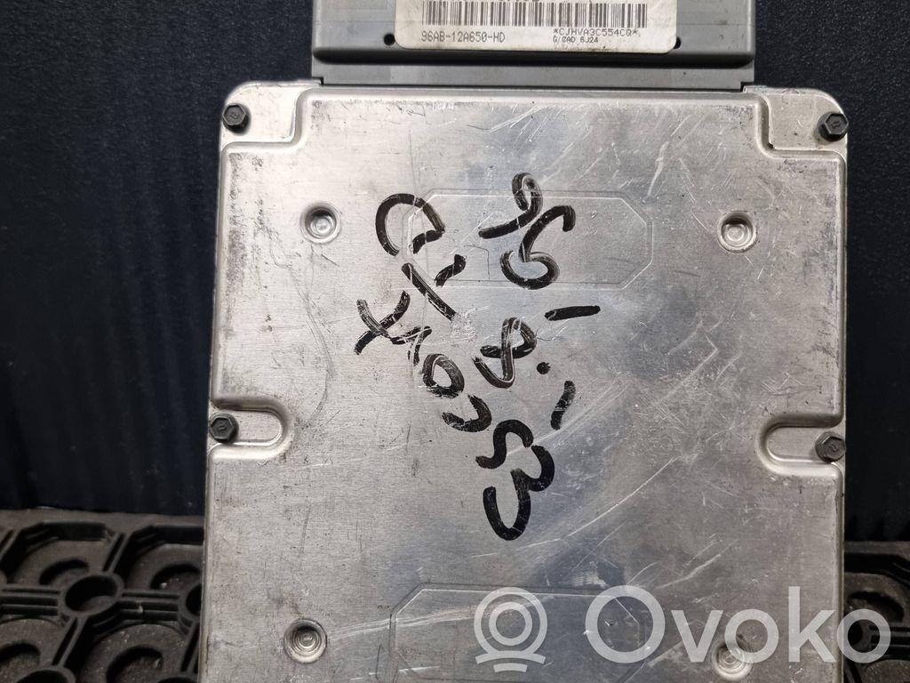 Ford Escort Engine control unit/module 