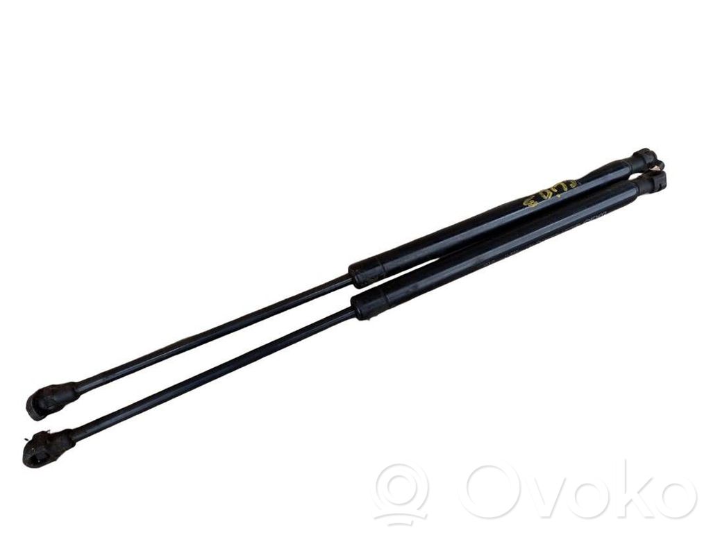 Tailgate/trunk strut/damper