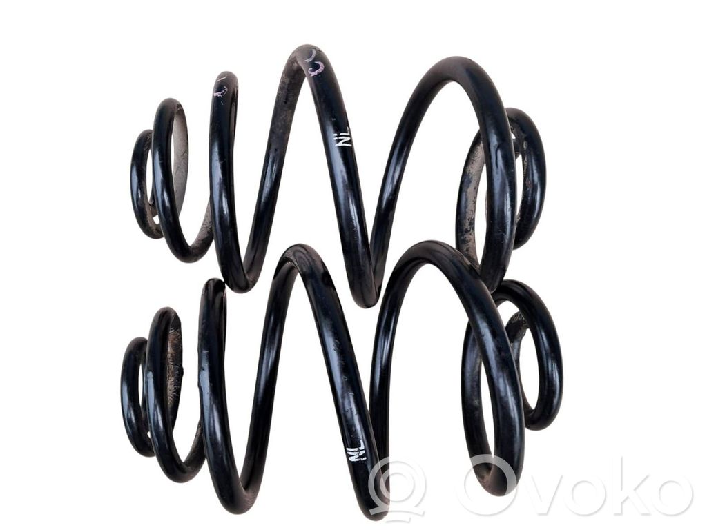 Rear coil spring