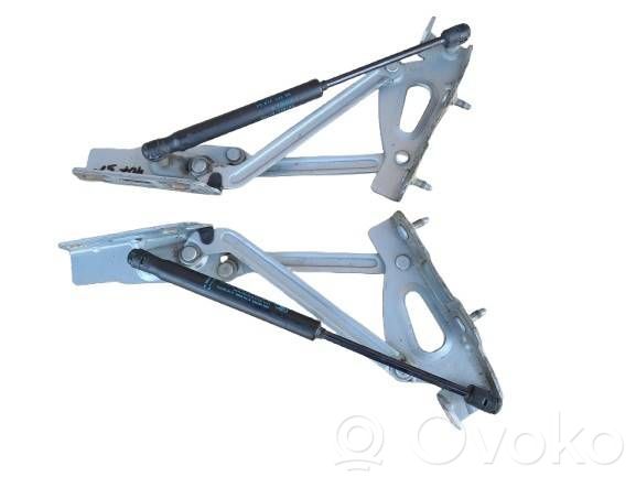 Peugeot 407 Tailgate/trunk/boot hinge 