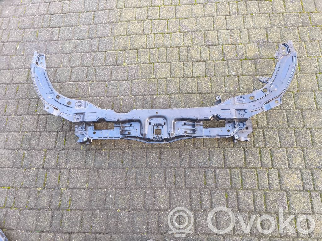 Land Rover Range Rover Evoque L538 Jäähdyttimen kehyksen suojapaneeli 