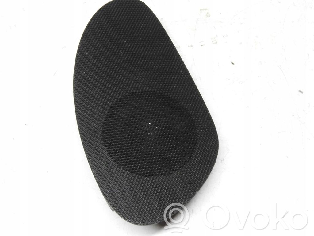 Panel speaker   20DP42,9660528377