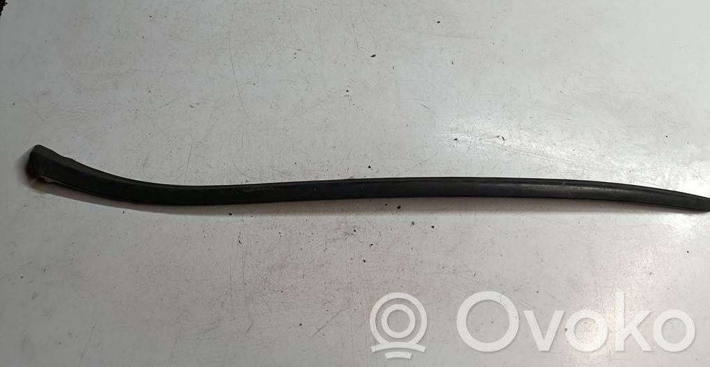 Citroen DS4 Windshield trim 
