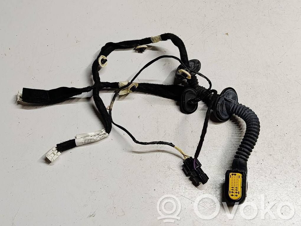 Cableado de puerta trasera   241260627RS5,241260627R