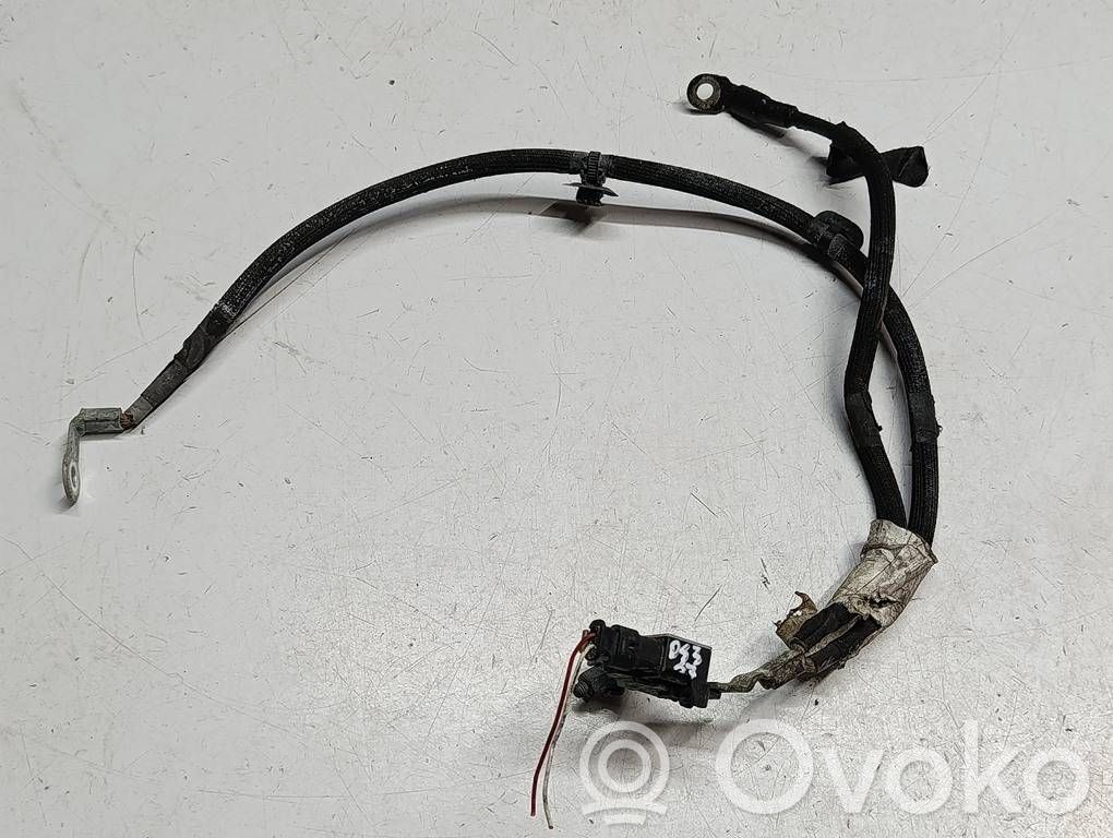 DS Automobiles 3 Negative earth cable (battery) 