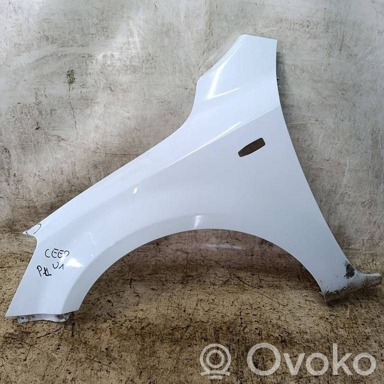 Fender