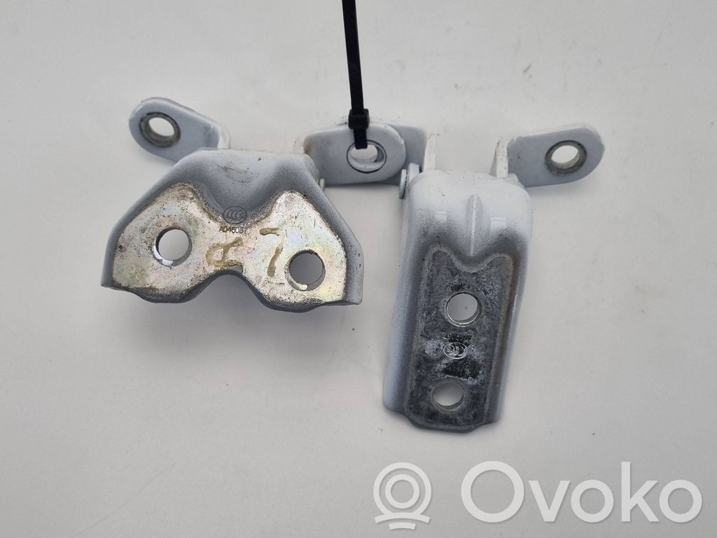 KIA Ceed Front door hinge set 