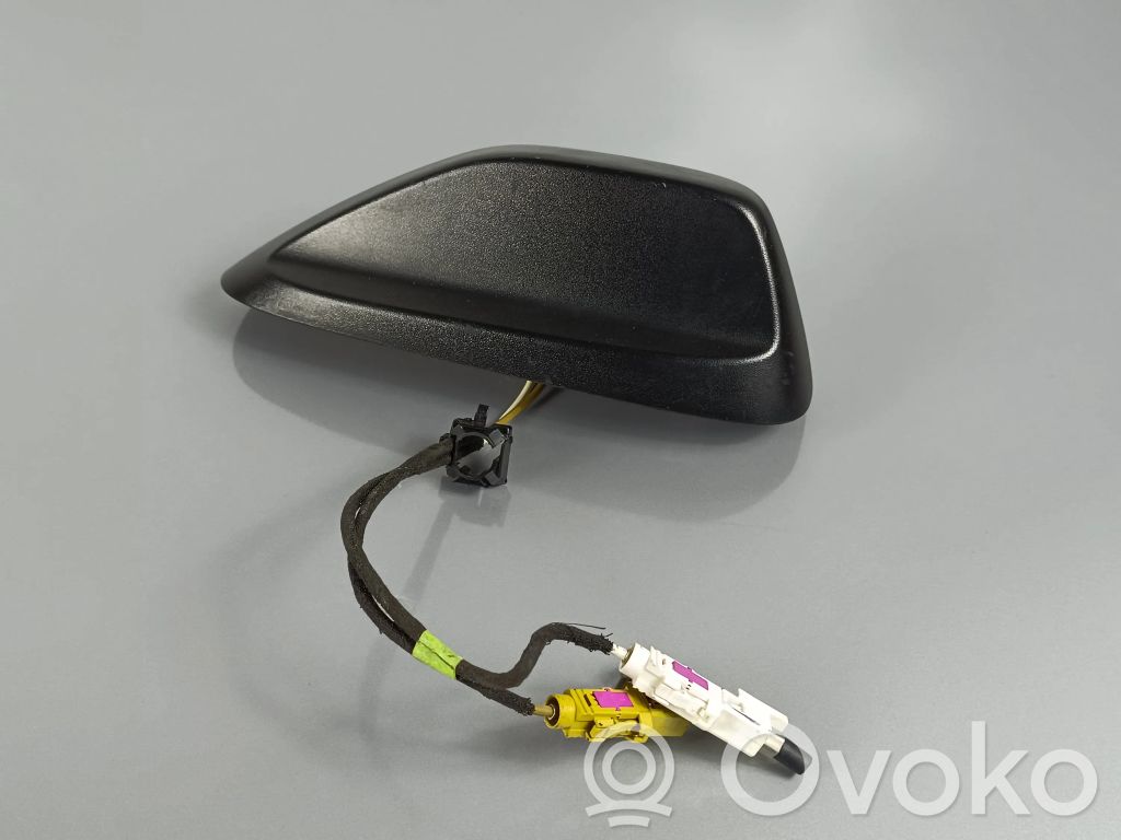 Radion antenni   P05091902AA