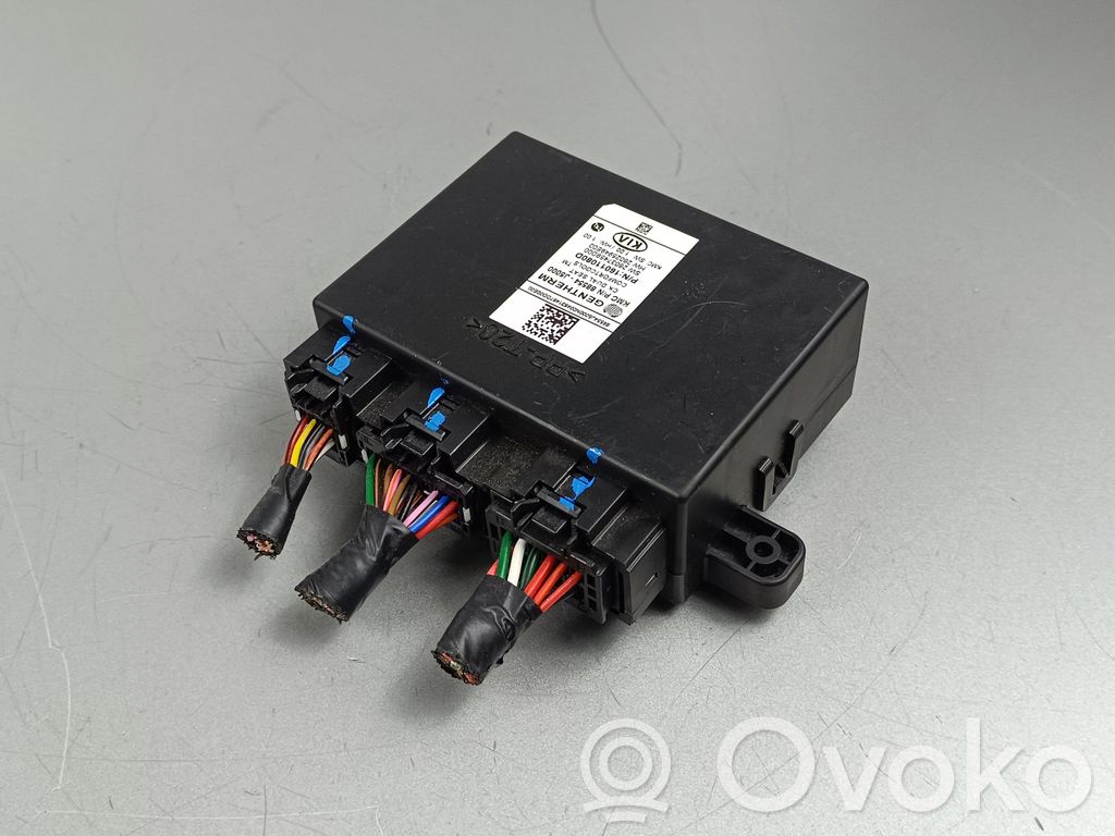 KIA Stinger Other control units/modules 