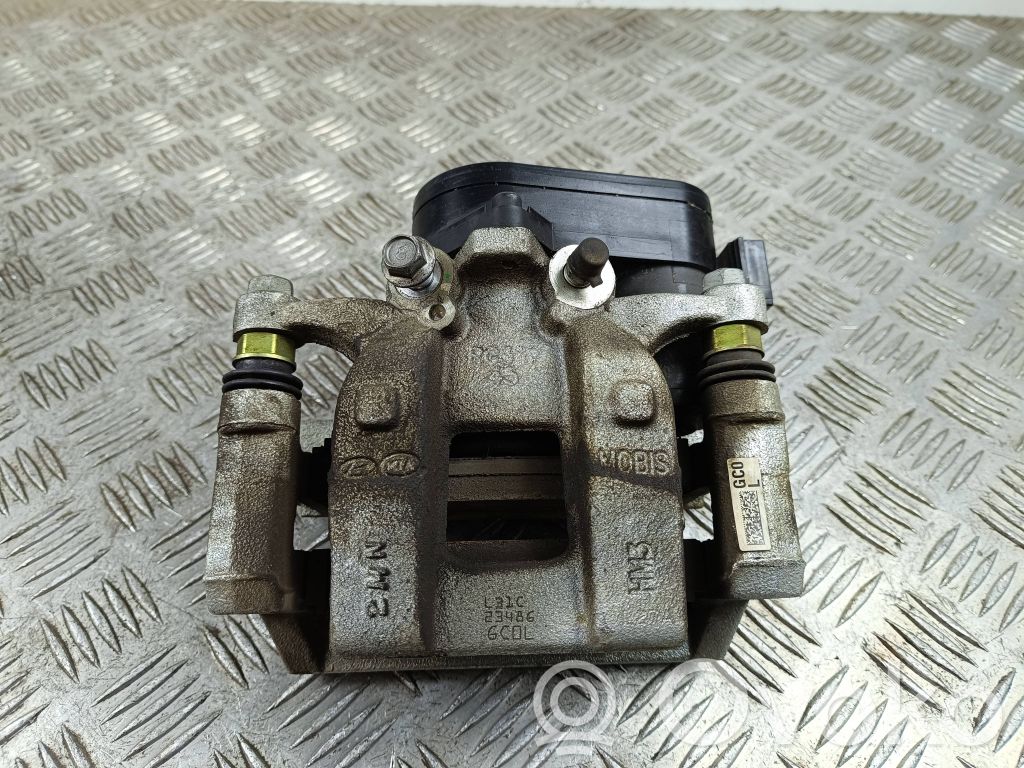 Takajarrusatula   T158247700,2212276010
