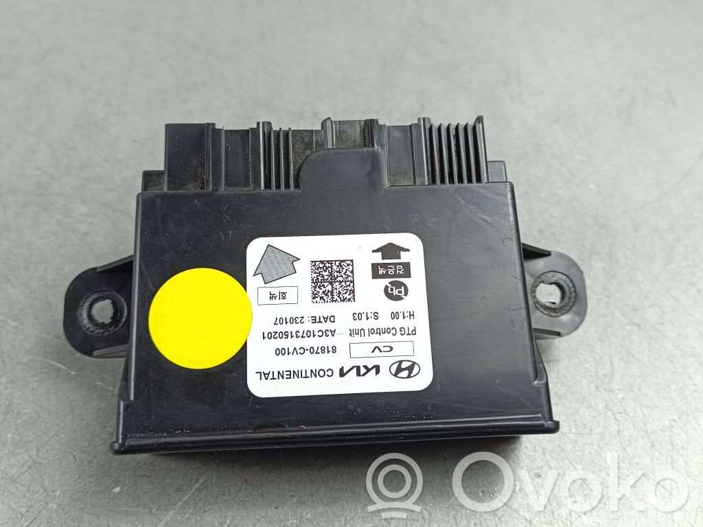 KIA EV6 Other control units/modules 