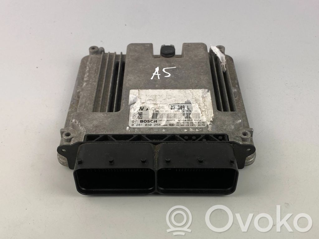 Engine control unit/module   0281030258,04L907309L,FDC17C74,82309
