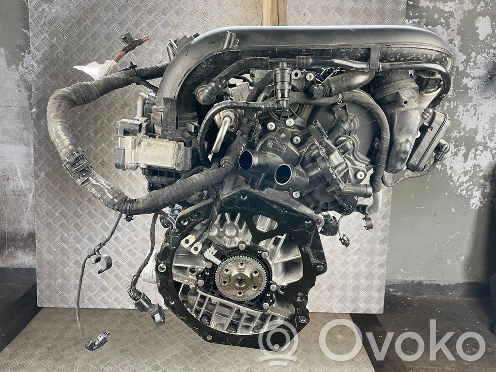 Motor   DGE