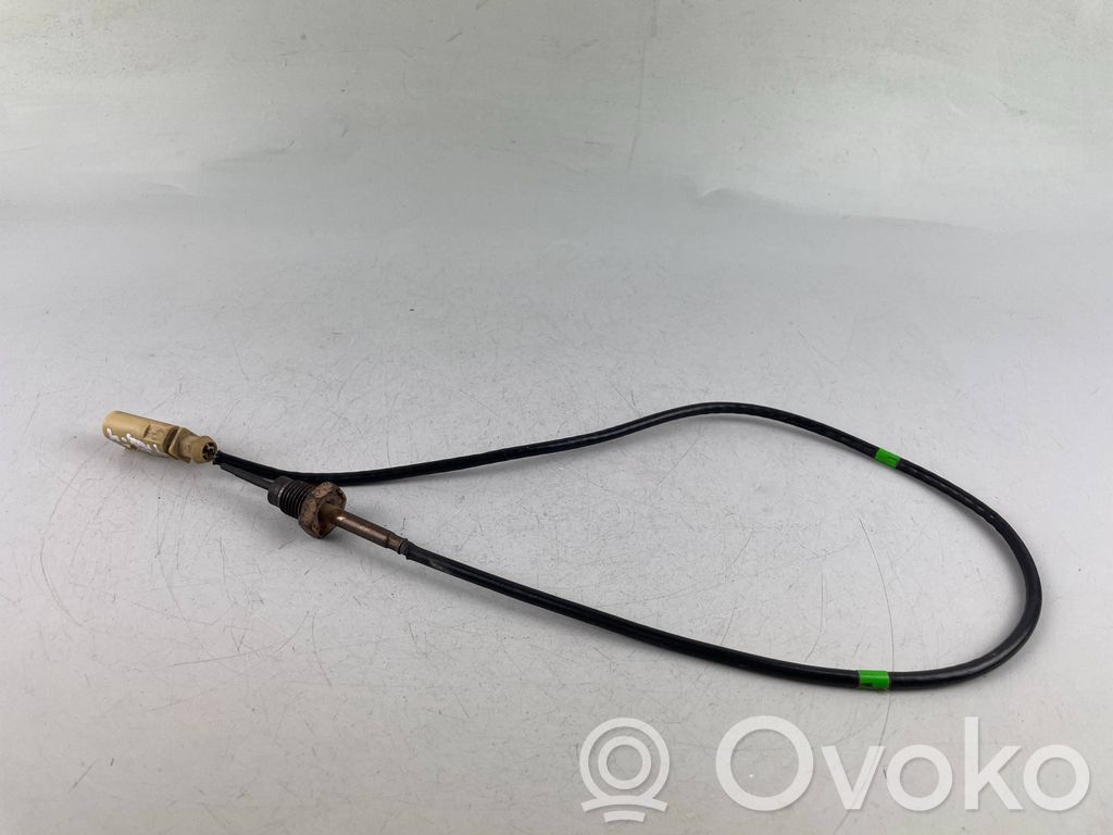 Volkswagen Tiguan Išmetamųjų dujų temperatūros daviklis 