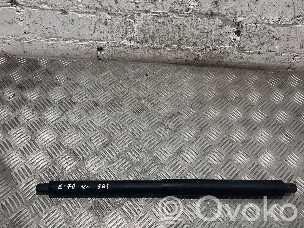 BMW X5 E70 Tailgate/trunk strut/damper 