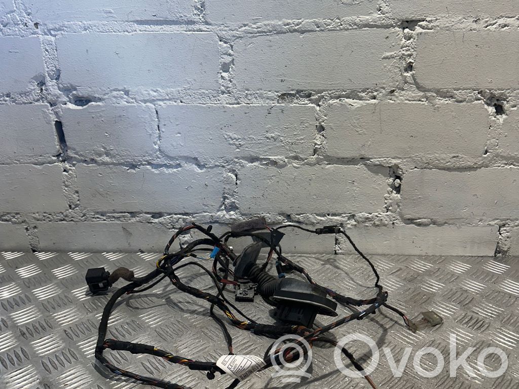 BMW X5 E70 Cablaggio porta anteriore 