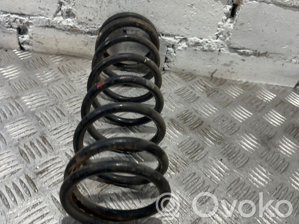 Rear coil spring
