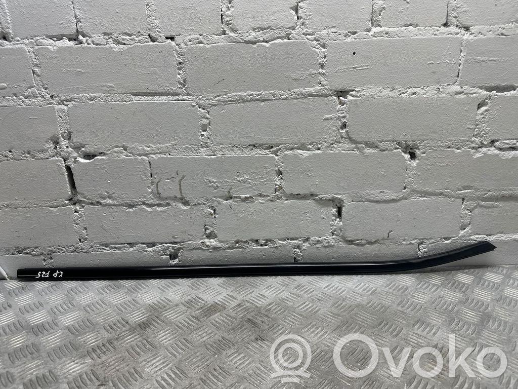 BMW X3 F25 Listwa / Uszczelka szyby drzwi przednich 