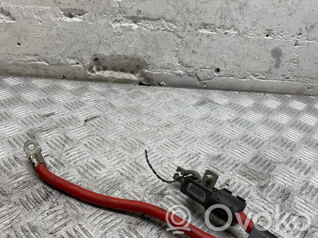 Plusa vads (akumulatora)   6908745