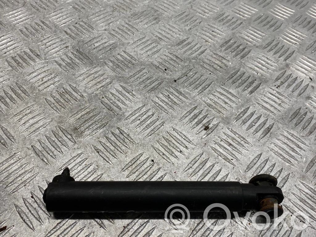 Tailgate/trunk strut/damper   714963106
