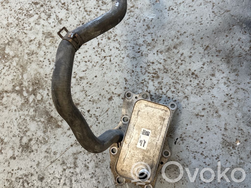 Opel Antara Oil filter mounting bracket 