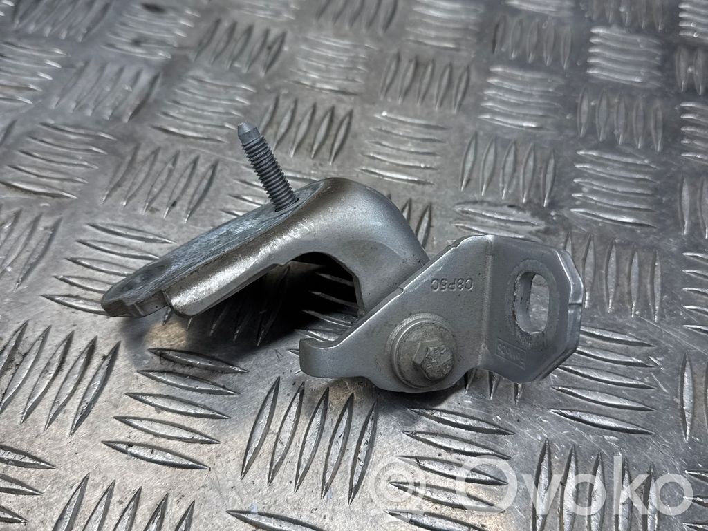 Front door lower hinge   DS73F22811AA