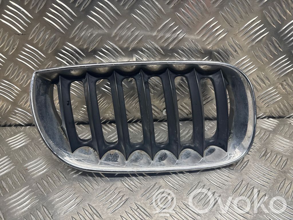 BMW X3 E83 Front grill 