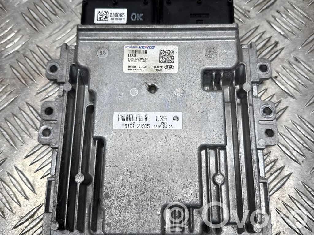 KIA Sportage Engine control unit/module 