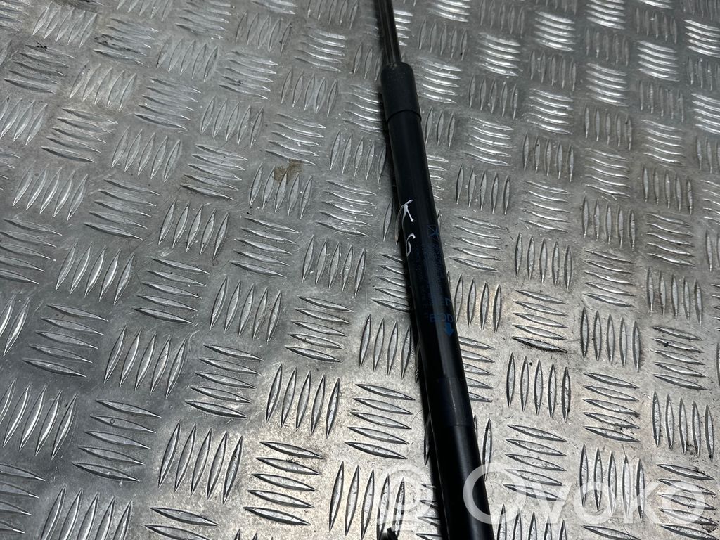 Jeep Compass Tailgate/trunk strut/damper 
