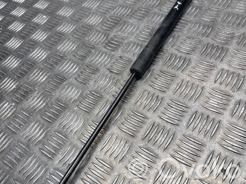 Tailgate/trunk strut/damper   2990136