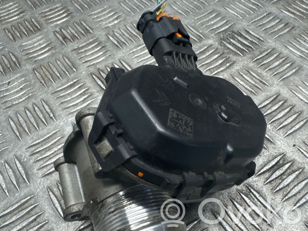 Ford Fiesta Drosselklappe 