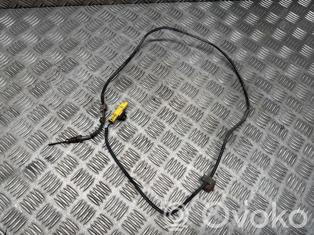Citroen DS5 Abgastemperatursensor