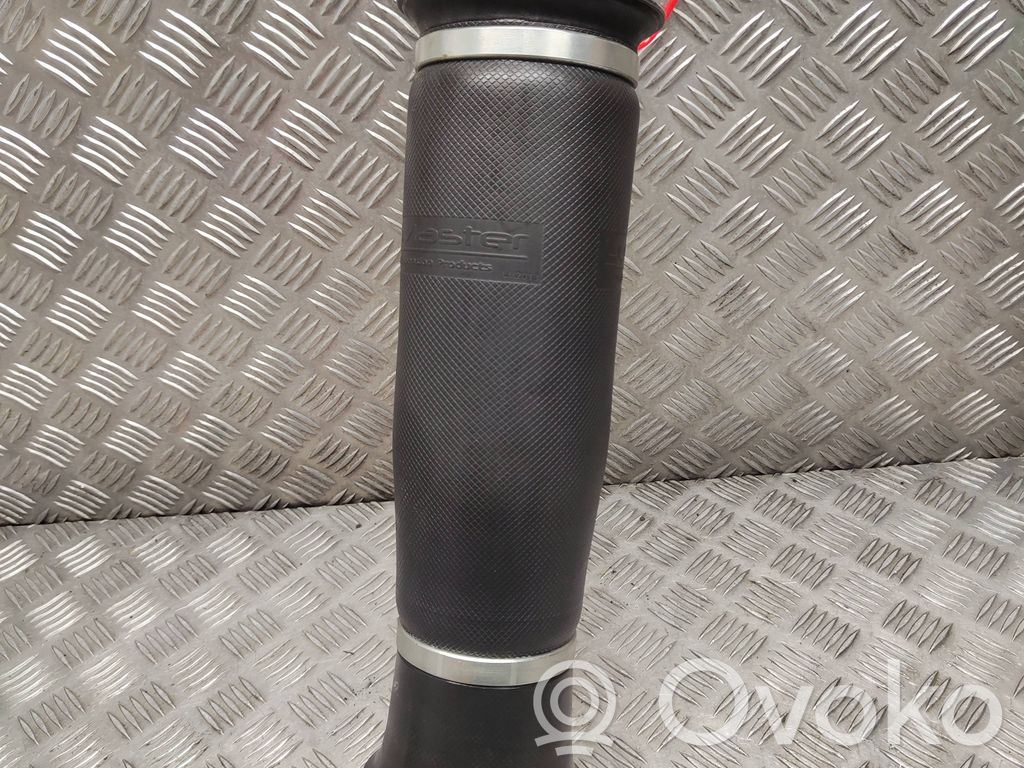 BMW X6 F16 Amortiguador/suspensión neumática trasera