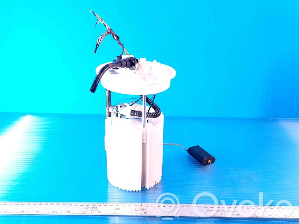 Bomba interna de combustible   BV619H307JD,DZL7J,0580200065,1304143
