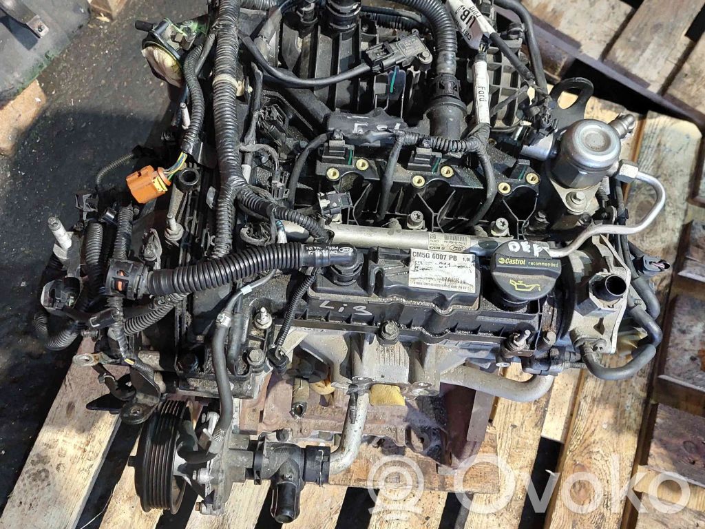 Ford Focus Двигатель 