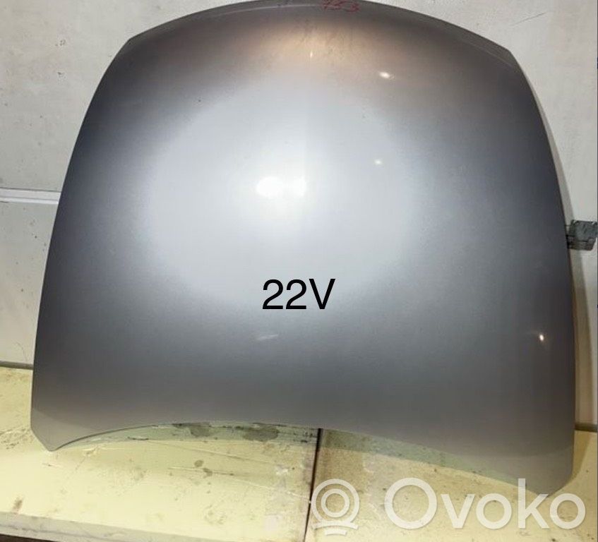 Engine bonnet/hood