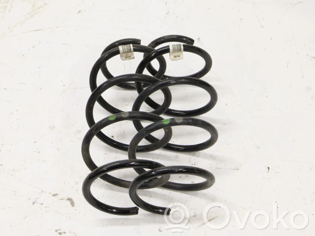 Front coil spring