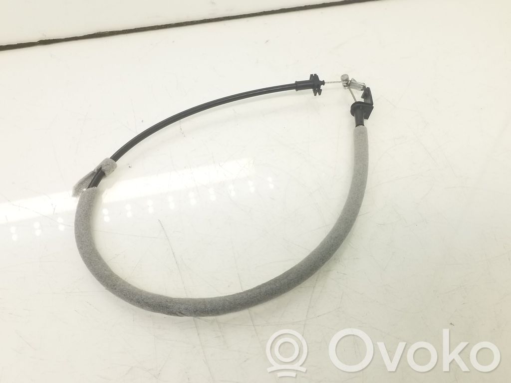 Línea de cable de puerta trasera   986418102