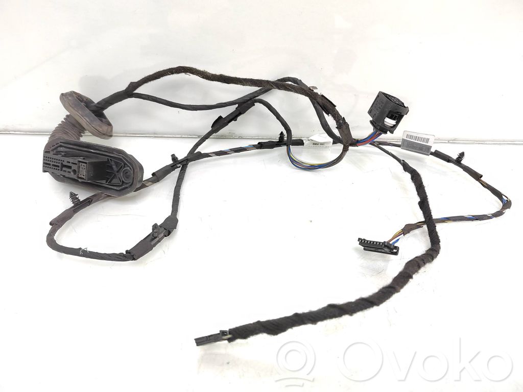 Cableado de puerta trasera   912079702,CW92031