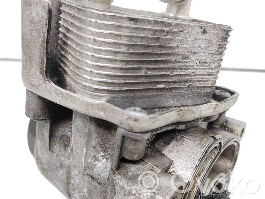 Engine oil radiator   B8316007,300037
