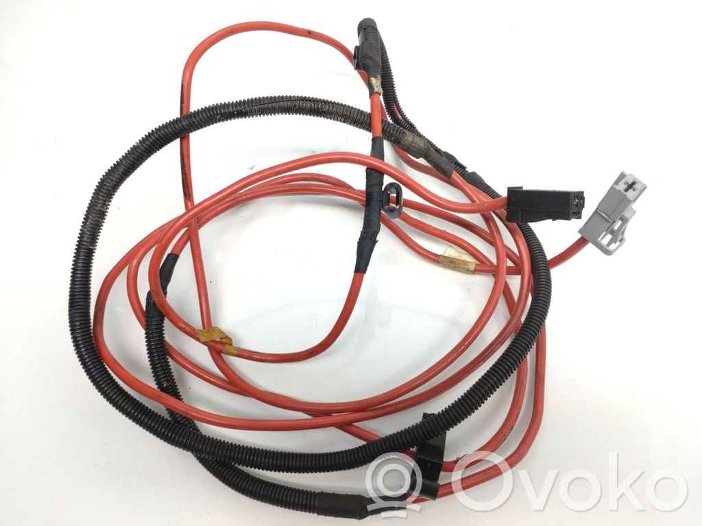 Cable positivo (batería)   6925172,61136925172,6113692517202,6113692517202
