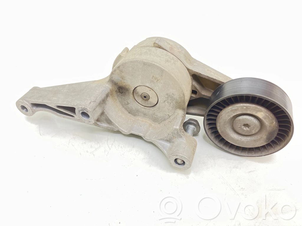 Skoda Octavia Mk2 (1Z) Tendicinghia generatore/alternatore 