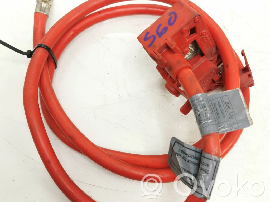 Cable positivo (batería)   6989779,6989780,10304410