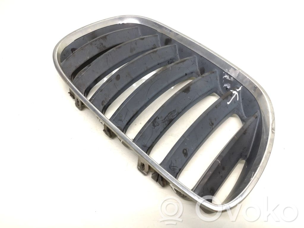 BMW X5 E53 Front bumper upper radiator grill 