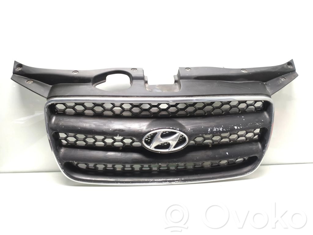 Hyundai Santa Fe Etusäleikkö 