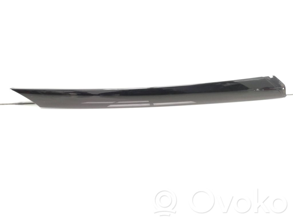 Polestar 2 Windshield trim 