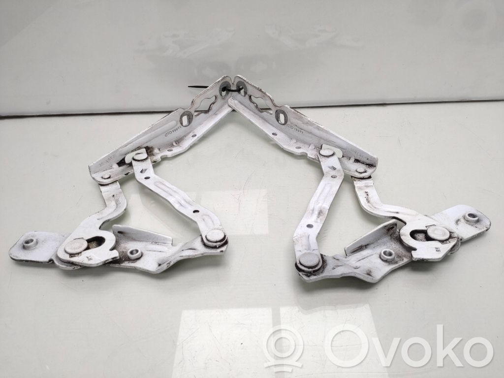 Ford Transit -  Tourneo Connect Cerniere del vano motore/cofano 