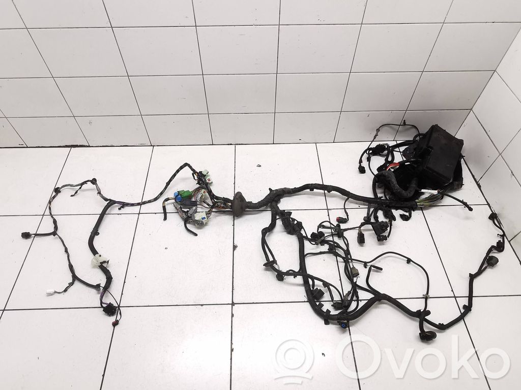 Ford Focus Cableado de instalación del motor 