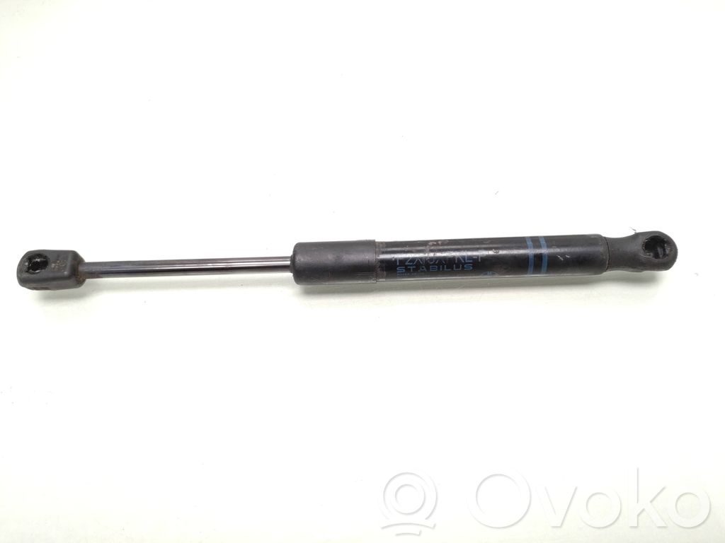 BMW 1 F20 F21 Ammortizzatore portellone anteriore/cofano 