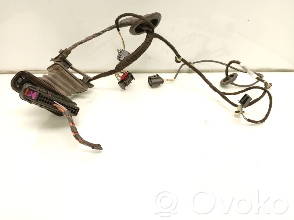 Volkswagen PASSAT B7 Cablaggio porta posteriore 